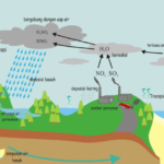 Hujan Asam : Penyebab, Proses Terjadi, dan Dampaknya Bagi Kehidupan