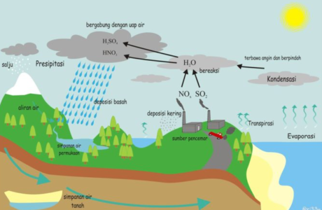 Hujan Asam : Penyebab, Proses Terjadi, dan Dampaknya Bagi Kehidupan