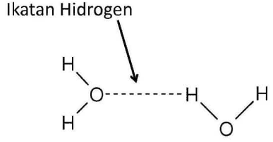 Ikatan hidrogen molekul air