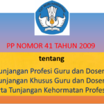 PP Nomor 41 Tahun 2009 tentang Tunjangan Profesi Guru dan Dosen