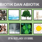 Latihan Soal Biotik dan Abiotik IPA Kelas 10 SMK Tahun Pelajaran 2021/2022