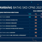 Nilai Ambang Batas (Passing Grade) SKD Seleksi CPNS Tahun 2021