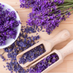 5 Fakta Unik Seputar Lavender Si Bunga Cantik Warna Ungu