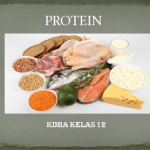 Pengertian Protein, Struktur, Penggolongan, dan Fungsinya