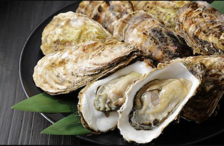 5 Fakta Menarik Seputar Kerang Tiram yang Perlu Anda  Ketahui