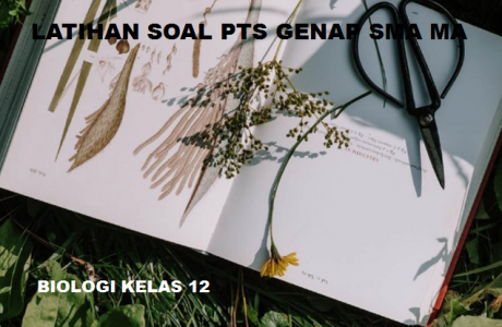 Latihan Soal PTS Genap Biologi Kelas 12 SMA MA dan Kunci Jawabannya