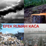 Efek Rumah Kaca : Pengertian, Penyebab, Proses, dan Cara Mengatasi