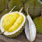 7 Fakta Menarik Buah Durian yang Dapat Anda Ketahui  