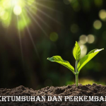 Pertumbuhan dan Perkembangan, Serta Faktor-faktor yang Memengaruhinya