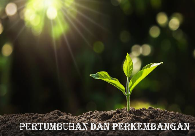 Pertumbuhan Dan Perkembangan, Serta Faktor-faktor Yang Memengaruhinya