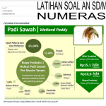 Latihan Soal ANBK AKM Numerasi SD MI 2022 (Bagian 2)