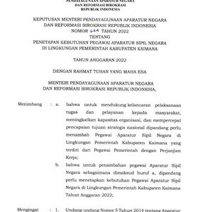 Formasi Kebutuhan ASN PPPK Kabupaten Kamimana, Papua Barat 2022