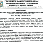 Informasi Rincian Formasi Kebutuhan ASN PPPK Kabupaten Morowali 2022