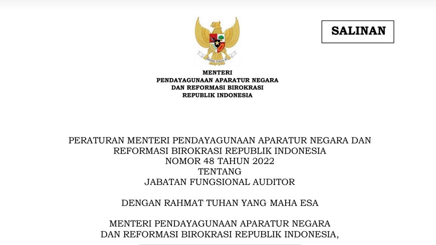 Download PermenPANRB Nomor 48 Tahun 2022 Tentang Jabatan Fungsional Auditor