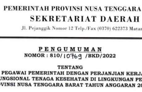 Formasi CASN PPPK Provinsi Nusa Tenggars Barat 2022