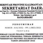 Formasi CASN PPPK Provinsi Kalimantan Selatan Tahun 2022