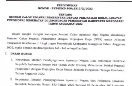 Rincian Formasi CASN PPPK JF Kesehatan Kabupaten Manggarai, NTT tahun 2022