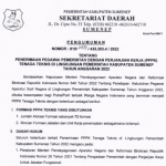 Formasi CASN PPPK Teknis Kabupaten Sumenep Tahun 2022