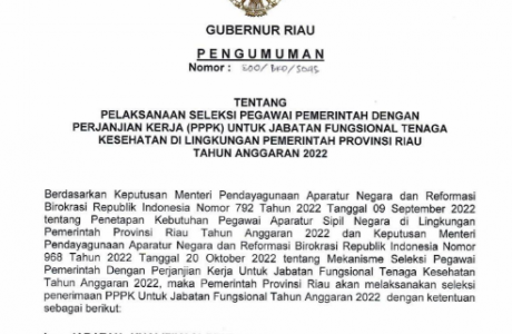 Rincian Formasi CASN PPPK Tenaga Kesehatan Pemerintah Provinsi Riau Tahun 2022