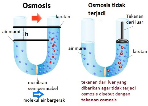 Pengertian Sifat Koligatif Larutan dan Klasifikasinya