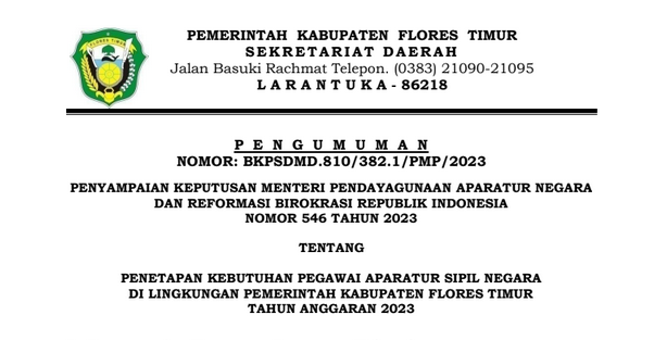 Rincian Formasi ASN PPPK Kabupaten Flores Timur 2023