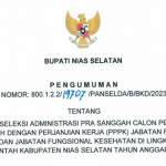 Pengumuman Hasil Seleksi Administrasi PPPK Kabupaten Nias Selatan Tahun 2023