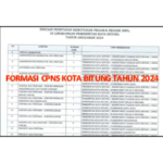 Rincian Formasi CPNS Kota Bitung Tahun 2024